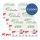 NATEEN COMBI PLUS XL 3400 ml MEGA PACK 8x10
